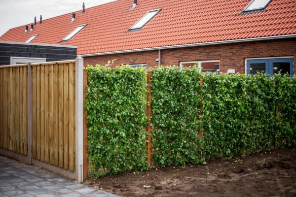 Kant en Klaar haag Joure